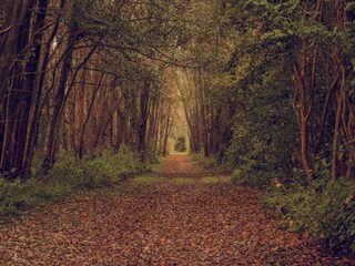 Appartamento Schlagsdorf (Fehmarn) Ambiente 18