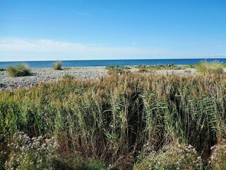 Appartement Schlagsdorf (Fehmarn) Environnement 26