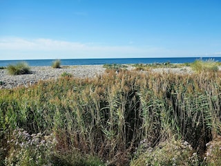 Apartment Schlagsdorf (Fehmarn) Umgebung 19