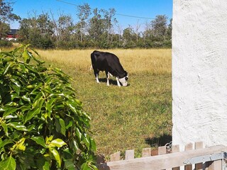 Ferienhaus Hulterstad Außenaufnahme 5