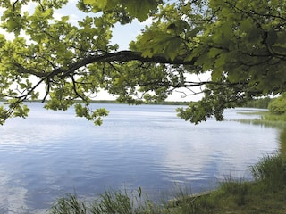 Vakantiehuis Ansager  8