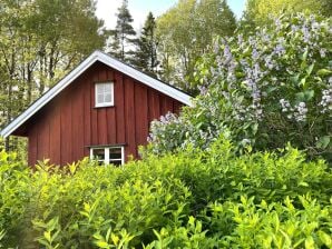 Holiday house 3 Personen Ferienhaus in UDDEVALLA-By Traum - Färgelanda - image1