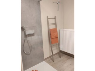 Casa per le vacanze Briedern Caratteristiche 21