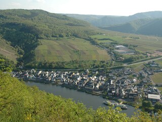 Casa per le vacanze Briedern Ambiente 22