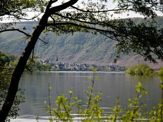 Casa per le vacanze Briedern Ambiente 24