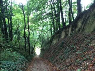Kaiserstuhl Hohlwege