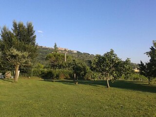 Casa per le vacanze Riccio Ambiente 33