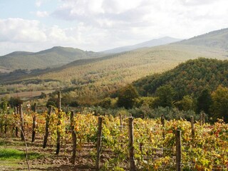 Parco vacanze Chiusdino Registrazione all'aperto 8