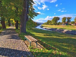 Vakantiehuis Balk Omgeving 32