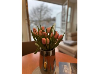 Appartamento per vacanze Binz Caratteristiche 17