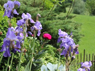 Appartamento per vacanze Bad Reichenhall Registrazione all'aperto 3