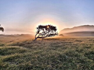 Apartamento de vacaciones Norderney Entorno 18