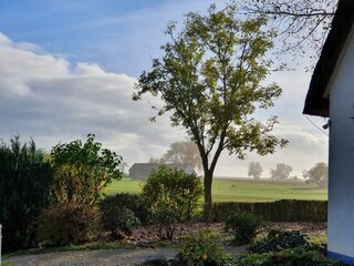 Ferienwohnung Stolpe auf Usedom Umgebung 4