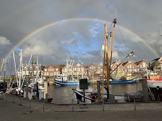 Hafen mit Regenbogen
