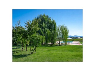 Casa per le vacanze Castiglion Fiorentino Registrazione all'aperto 8