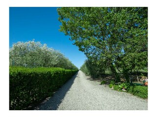 Casa per le vacanze Castiglion Fiorentino Registrazione all'aperto 12