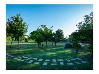 Casa per le vacanze Castiglion Fiorentino Registrazione all'aperto 13