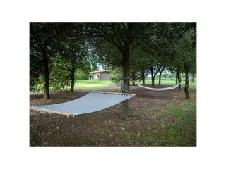 Casa per le vacanze Castiglion Fiorentino Registrazione all'aperto 16