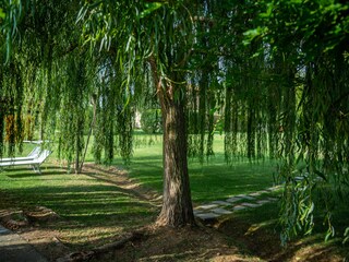 Casa per le vacanze Castiglion Fiorentino Registrazione all'aperto 20