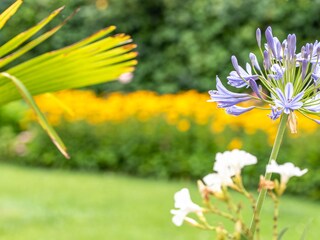 Appartamento per vacanze Gargazon Registrazione all'aperto 18