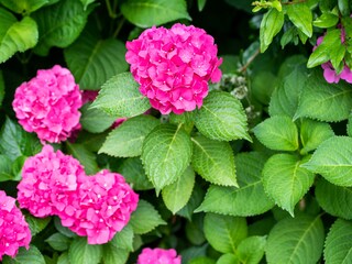 Appartamento per vacanze Gargazon Registrazione all'aperto 19