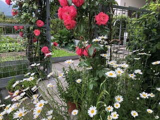 Appartamento per vacanze Gargazon Registrazione all'aperto 20