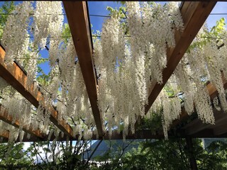 Appartamento per vacanze Gargazon Registrazione all'aperto 22