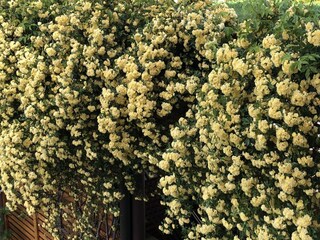 Appartamento per vacanze Gargazon Registrazione all'aperto 23