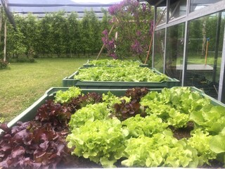 Appartamento per vacanze Gargazon Registrazione all'aperto 24