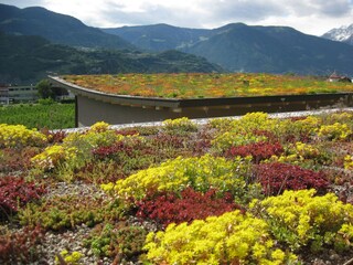 Appartamento per vacanze Gargazon Registrazione all'aperto 4