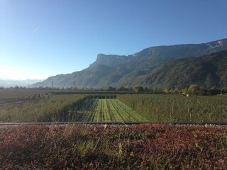 Appartamento per vacanze Gargazon Registrazione all'aperto 2