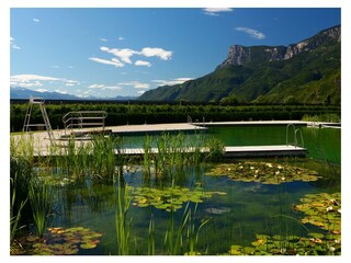 Appartamento per vacanze Gargazon Ambiente 36