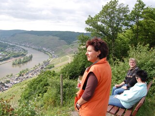 Apartamento de vacaciones Zell Mosel Entorno 27