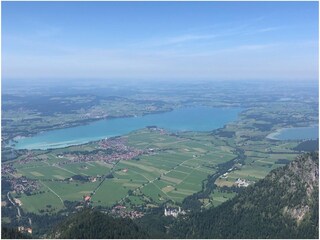 Blick auf Forggensee vom Säuling