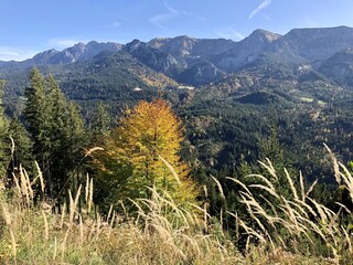 Naturschutzgebiet Ammergebirge