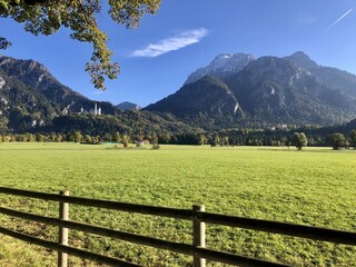 Schloss Neuschwanstein