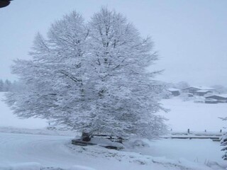 Casa per le vacanze Niedernsill Ambiente 27