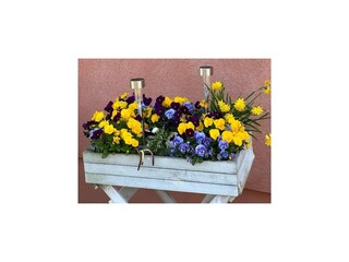 Appartamento Plauerhagen Registrazione all'aperto 4