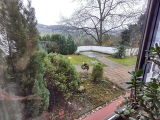 Appartement Graach an der Mosel Enregistrement extérieur 4