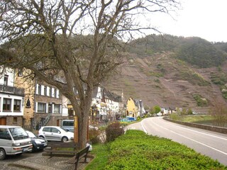 Appartement Graach an der Mosel Environnement 18
