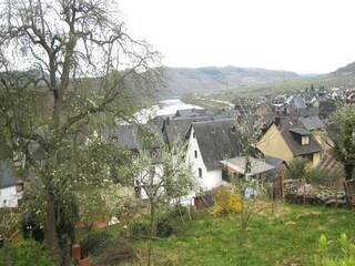 Appartement Graach an der Mosel Environnement 19