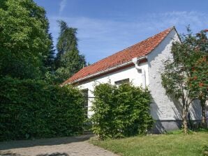 Vakantiehuis in het Müritz National Park, Mirow - Babke - image1