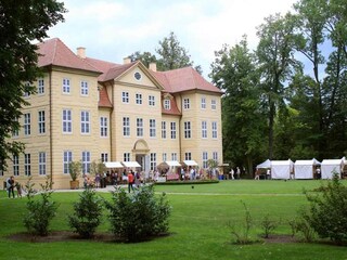 Vakantiehuis Babke Omgeving 11