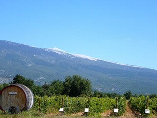 Casa de vacaciones Puyméras Entorno 22