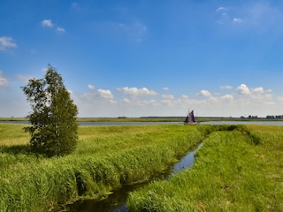 Zeesboot auf dem Bodden