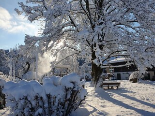 Wintereinbruch Dezember 2023