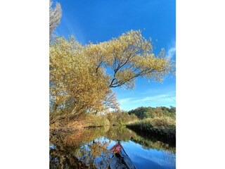 Casa per le vacanze Medemblik Ambiente 35