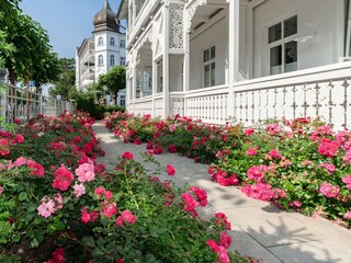 Liebevoll angelegter Garten