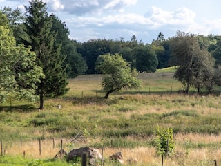 Ferienhaus Simlångsdalen  8