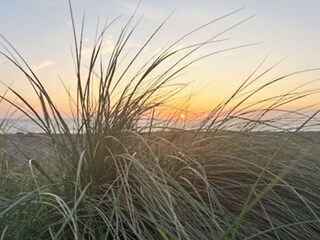 Maison de vacances Løgstør  18